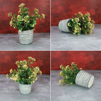 NFI essentials Small Artificial Plant With Ceramic Pot for Home Decor & Office Desk, Best for Gifting, Housewarming - AYAHA ENTERPRISES PRIVATE LIMITED