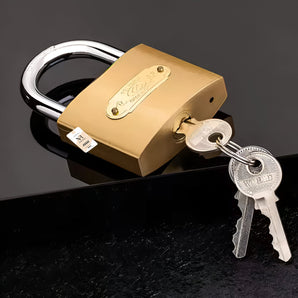 NFI essentials Heavy Duty Padlock for Main Door Gate Lock, Locks for Tool Box, Shutters, Shops & Offices Rust Proof with Anti Drill Security Shackle Chain (LK-16)