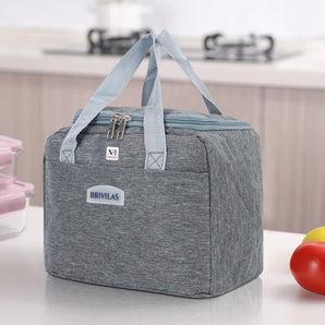 NFI essentials Insulated Lunch Bag for Men Women Large Tiffin Carry Bag Travel Lunch Box Organizer for Office, School, College, Leak-proof Lunch Cooler Bag
