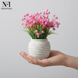 NFI essentials Small Artificial Plant With Ceramic Pot for Home Decor & Office Desk, Best for Gifting, Housewarming - AYAHA ENTERPRISES PRIVATE LIMITED