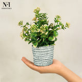 NFI essentials Small Artificial Plant With Ceramic Pot for Home Decor & Office Desk, Best for Gifting, Housewarming - AYAHA ENTERPRISES PRIVATE LIMITED