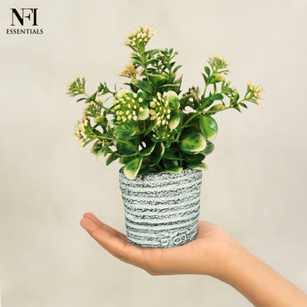 NFI essentials Small Artificial Plant With Ceramic Pot for Home Decor & Office Desk, Best for Gifting, Housewarming - AYAHA ENTERPRISES PRIVATE LIMITED