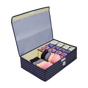 NFI essentials 16+1 Compartment Foldable Storage Box