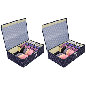 NFI essentials 16+1 Compartment Foldable Storage Box, Multi Closet Organizer For ,Socks, Bra, Tie, Scarf, Panty